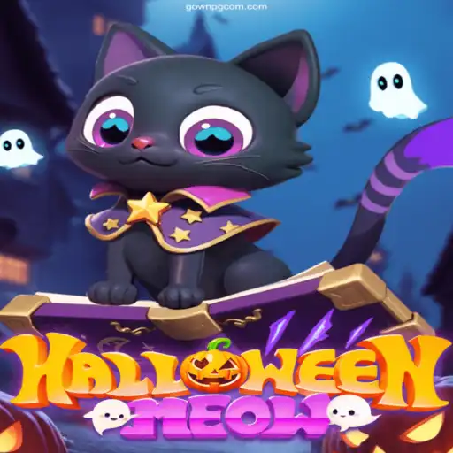 A Spooktacular Adventure: HalloweenMeow and the Cassino Online Experience